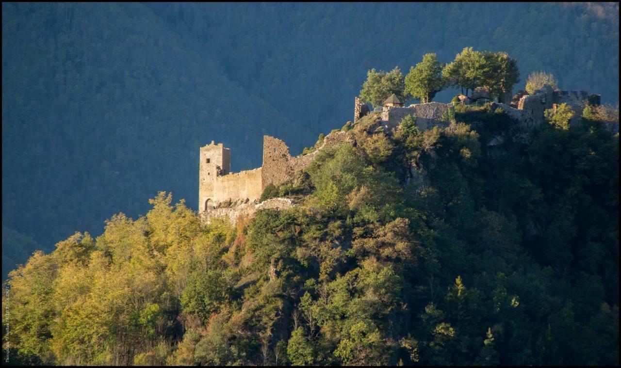 La Forge D'Andribet Βίλα Axiat Εξωτερικό φωτογραφία